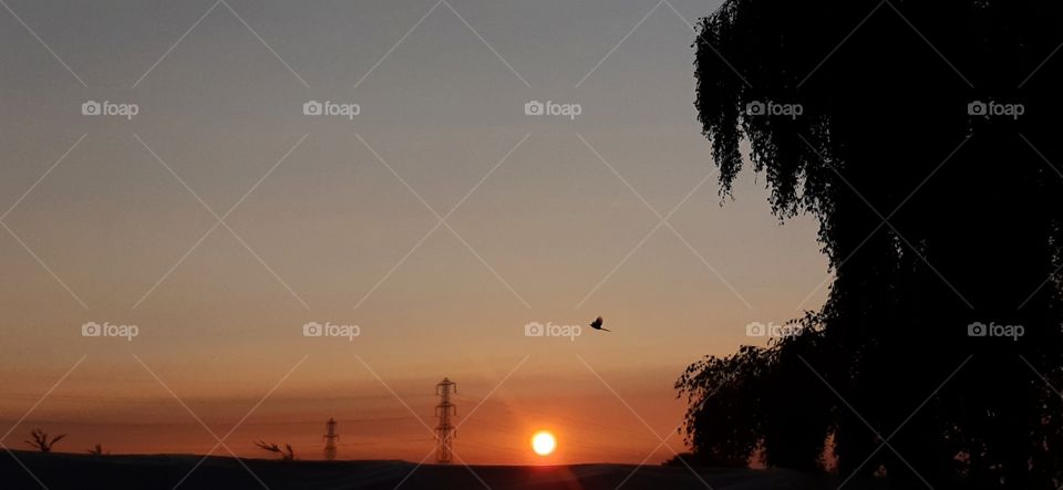 The sunrises, piercing through the clouds and gleams down just a bird flys by.