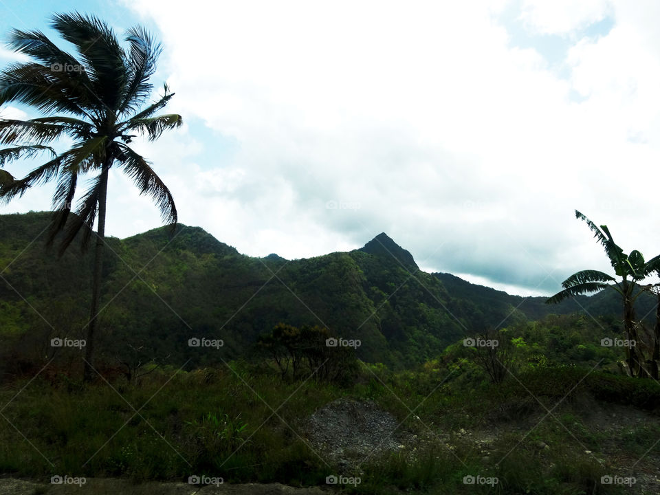 Volcanic Moutain Range. Driving in St. Lucia while on vacation.