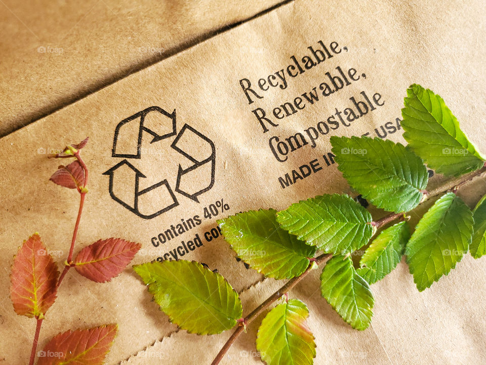 Brown paper bag recycle message with accent tree greenery