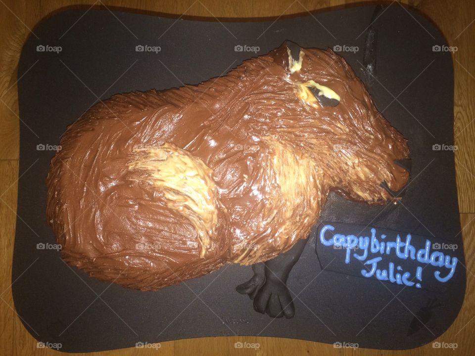 Capybara cake