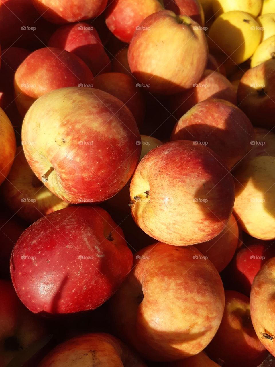 Fresh red apples stacked in a Marrakech market under sunlight, with glimpses of bananas in the background. The photo was taken on February 8, 2025.