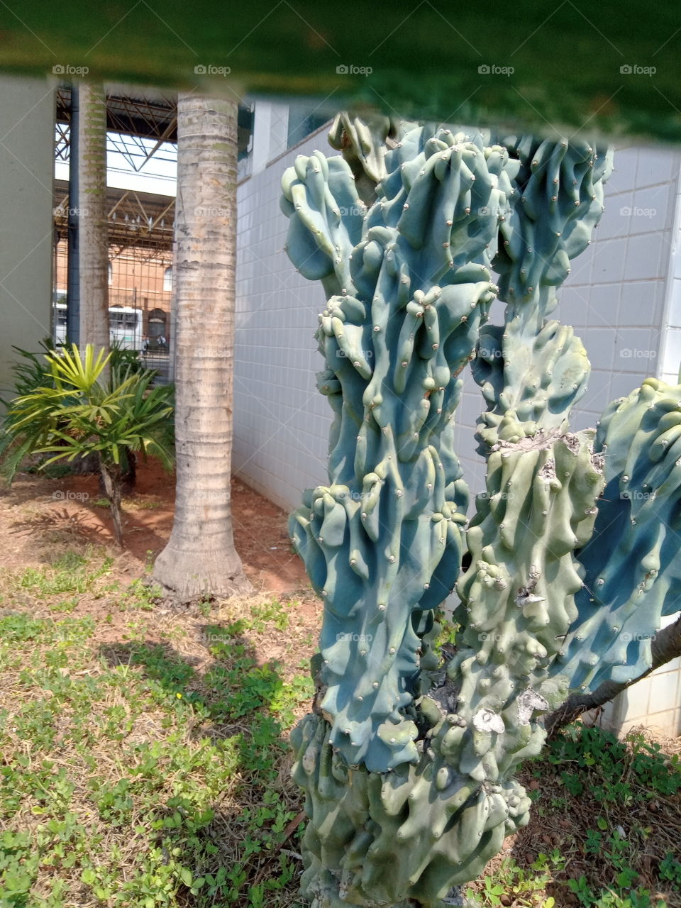 A Natureza e seus encantos