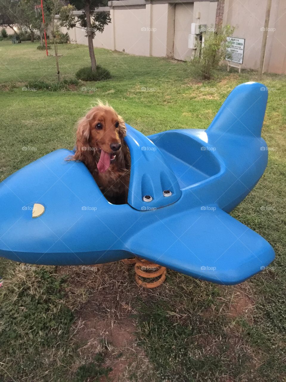 Leaving on a jet plan