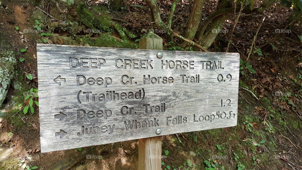 where to hike next