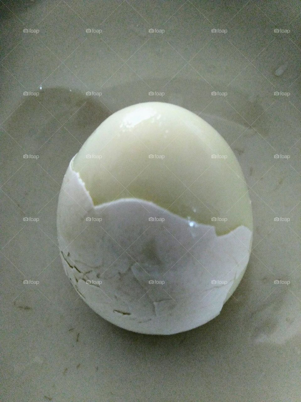 Moon egg