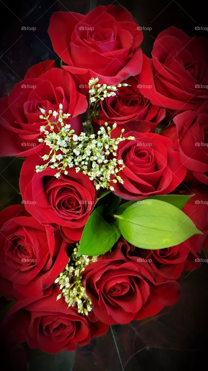 red roses