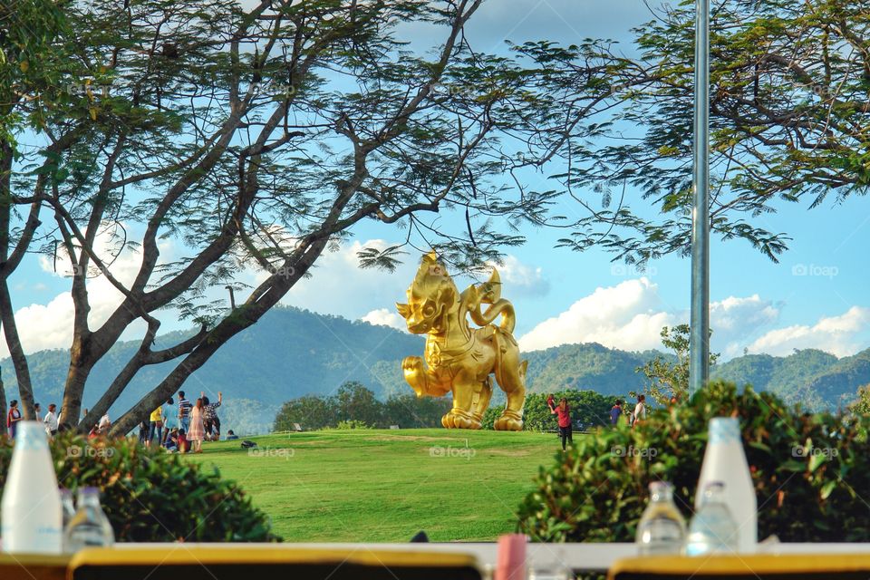 Singha Park view 