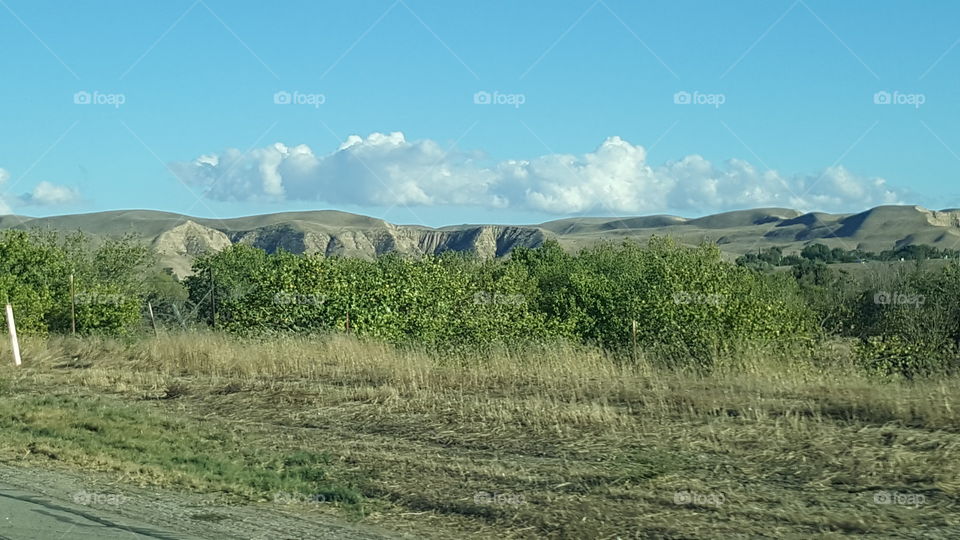 California's 101. Believe it or not, I took this photo through my vehicle's windshield.  My wife and I were driving on the 101.