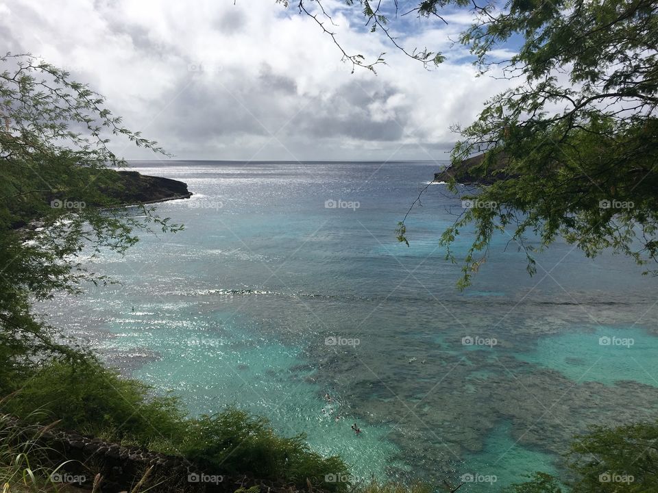 Scenic view of nature