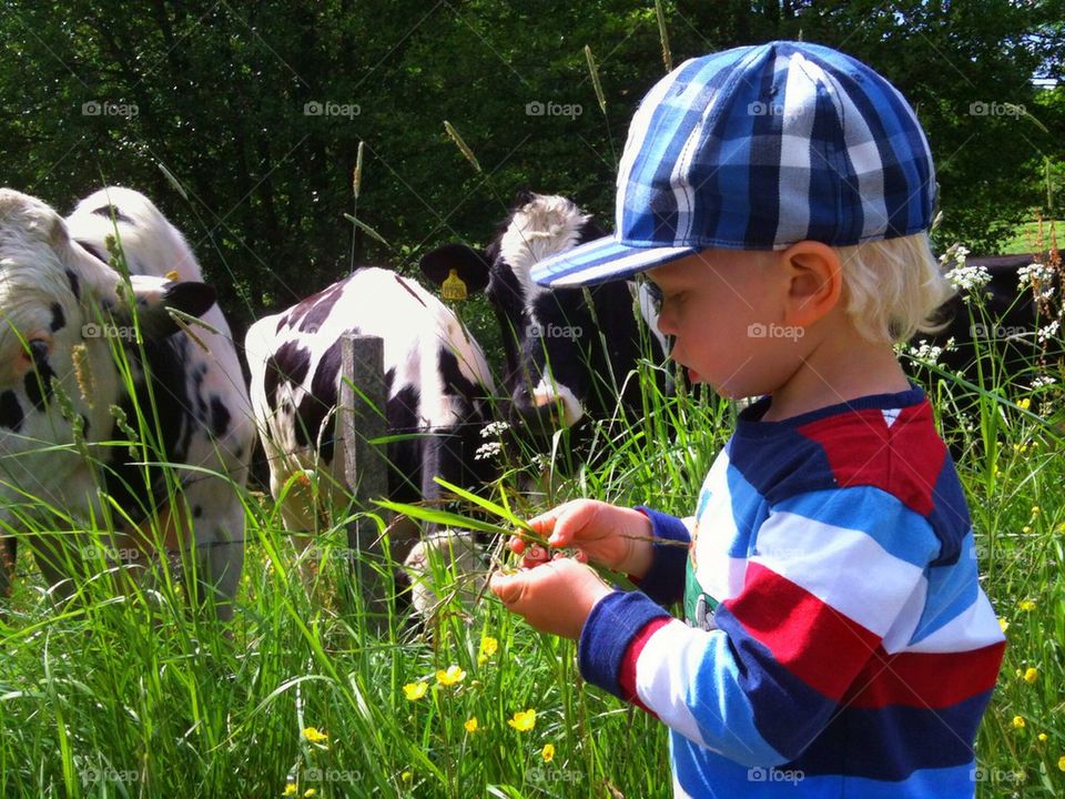 Eating grass