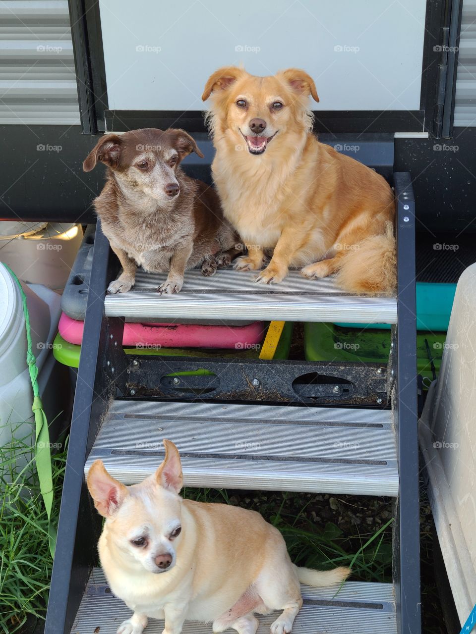 hanging on the porch