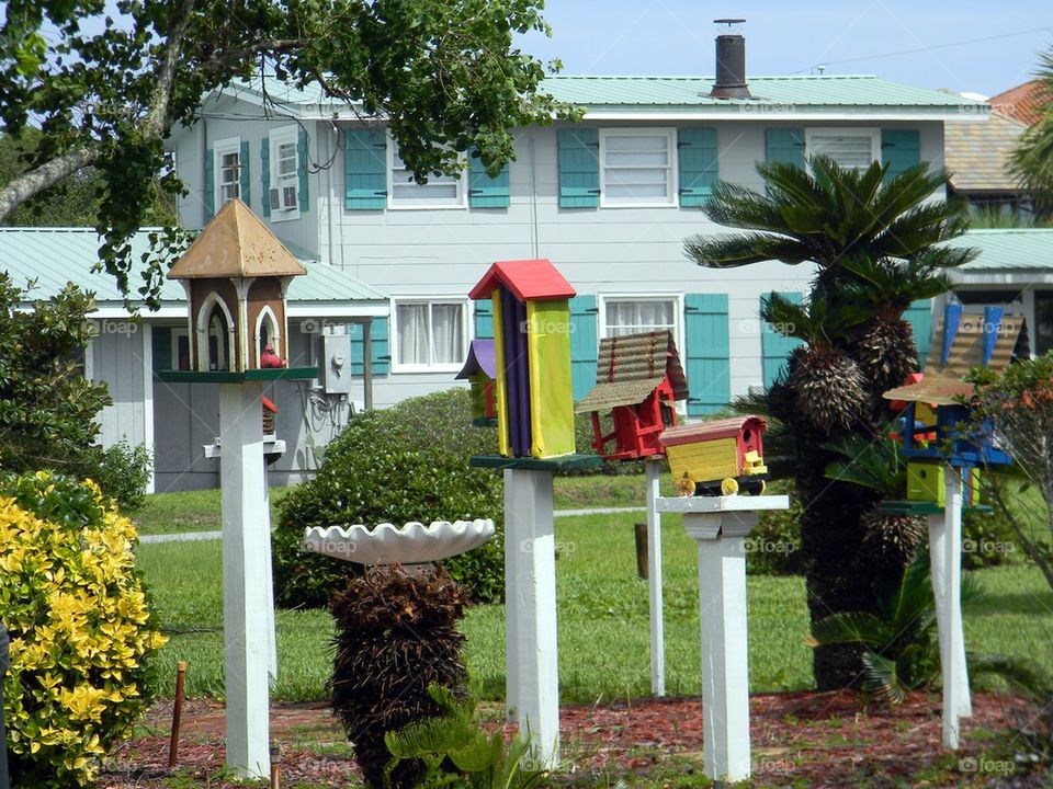 Birds house. This beautiful bird houses decorated a front yard