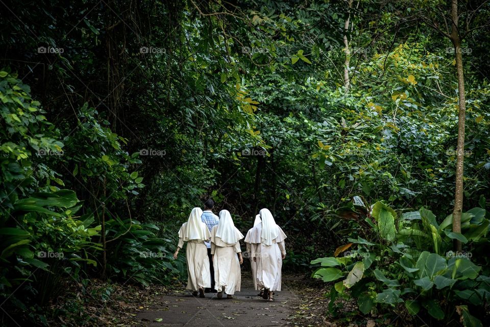 Time Off - A Group of Nuns Taking a Walk in the Woods