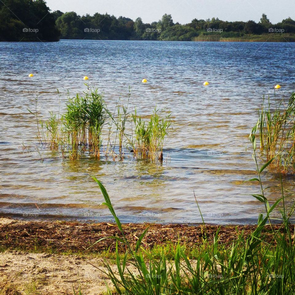 lake landscape