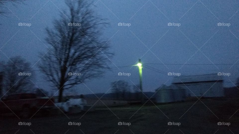 Early Spring March Morning