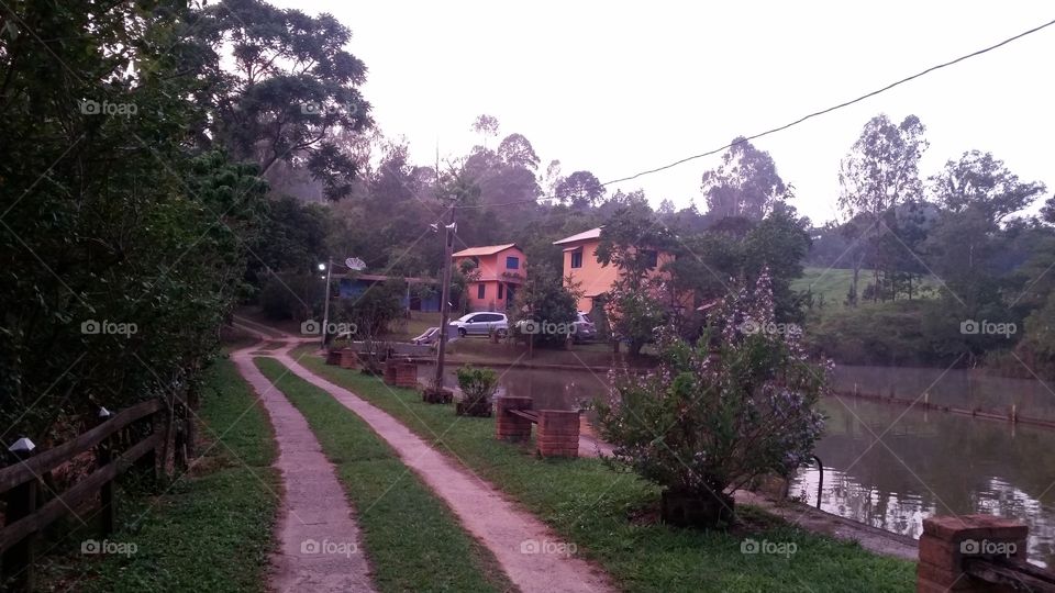 Empty walkway along with trees