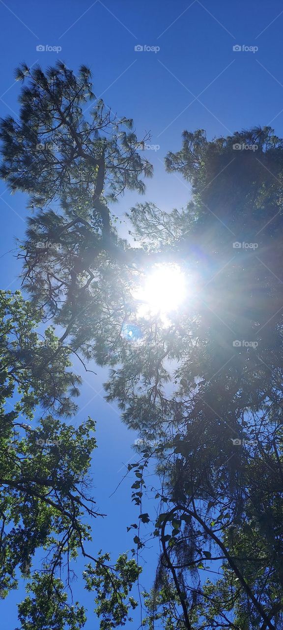 SUNLIGHT shining so 🌞🌝 BRIGHT !!