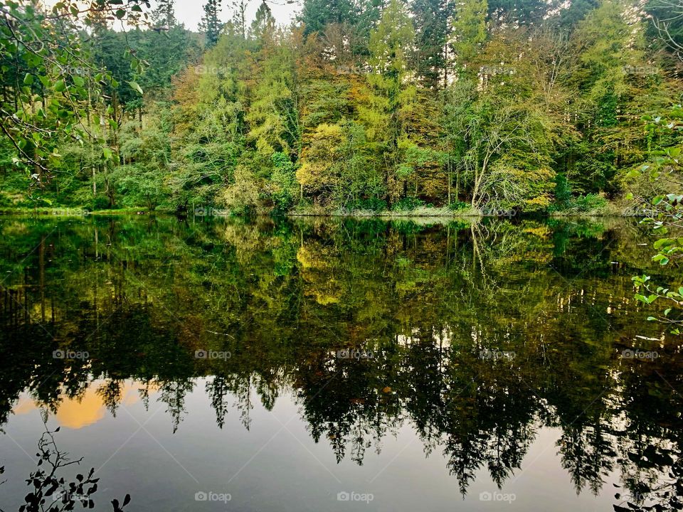 Autumn reflections 