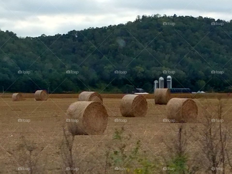 Driving the Back Roads and enjoying everything around us. The bales are made in the fall harvest for the livestock to eat and or bedding in three winter months.