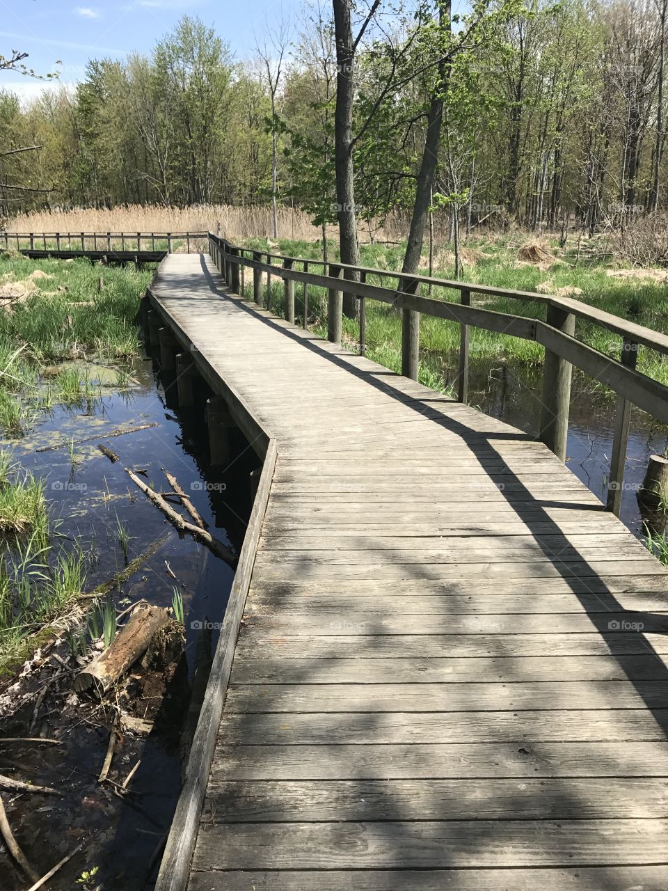 Wood, Nature, Bridge, Water, Guidance