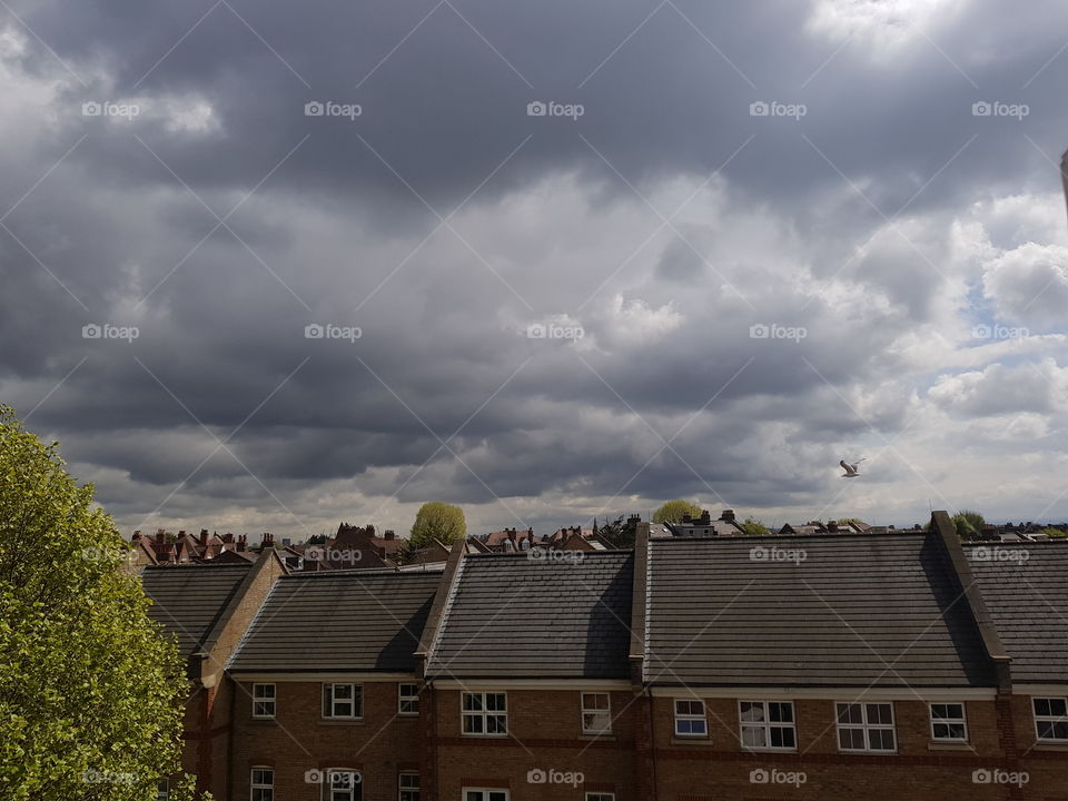 Cloudy Acton