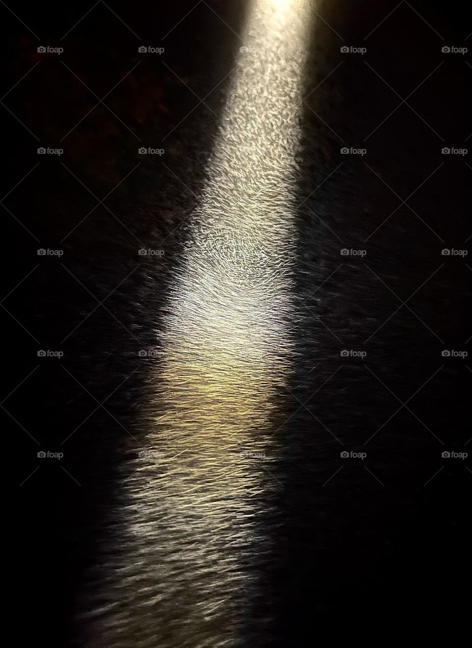 Mist in a flashlight beam at night