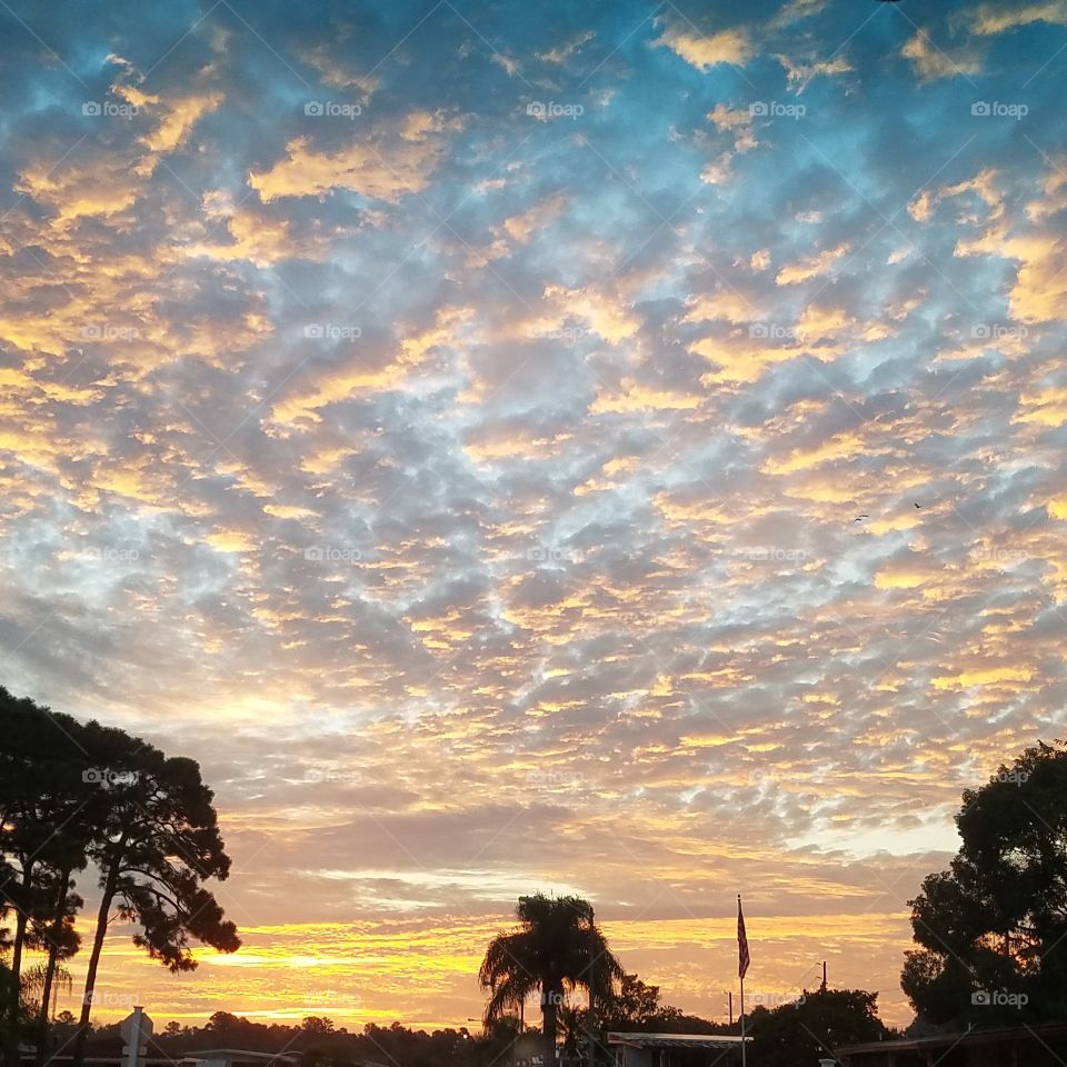 Florida Sky