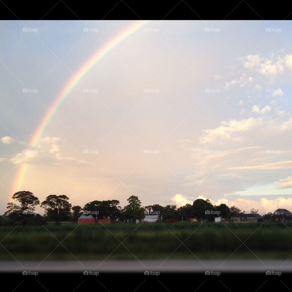 Rainbow Farm