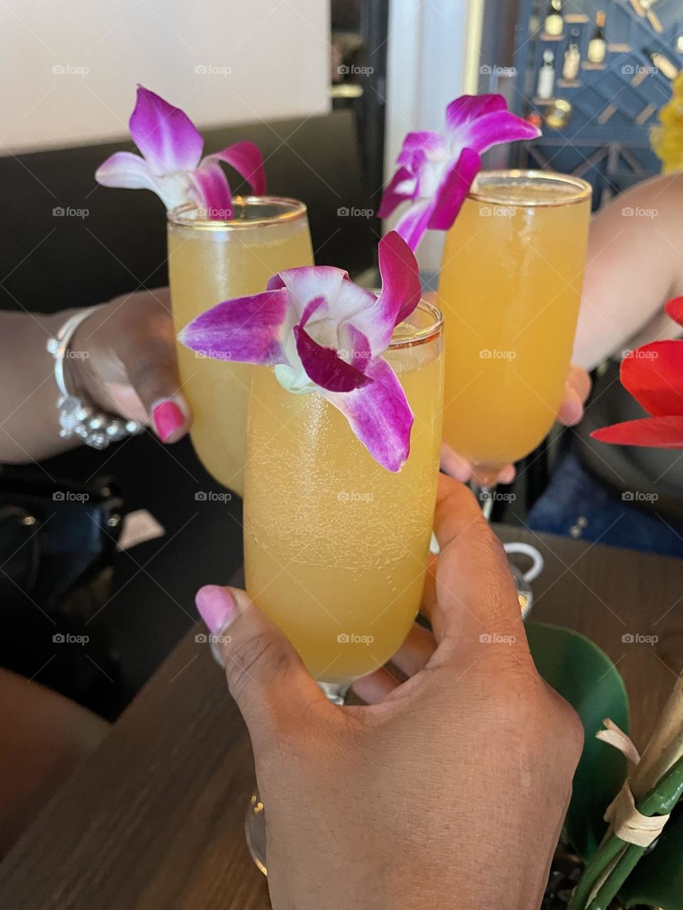 Mimosa Time