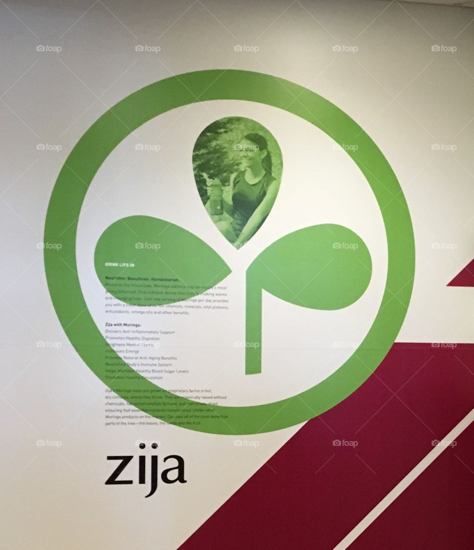 Zija logo