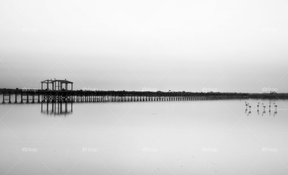 black and white minimal by the shore