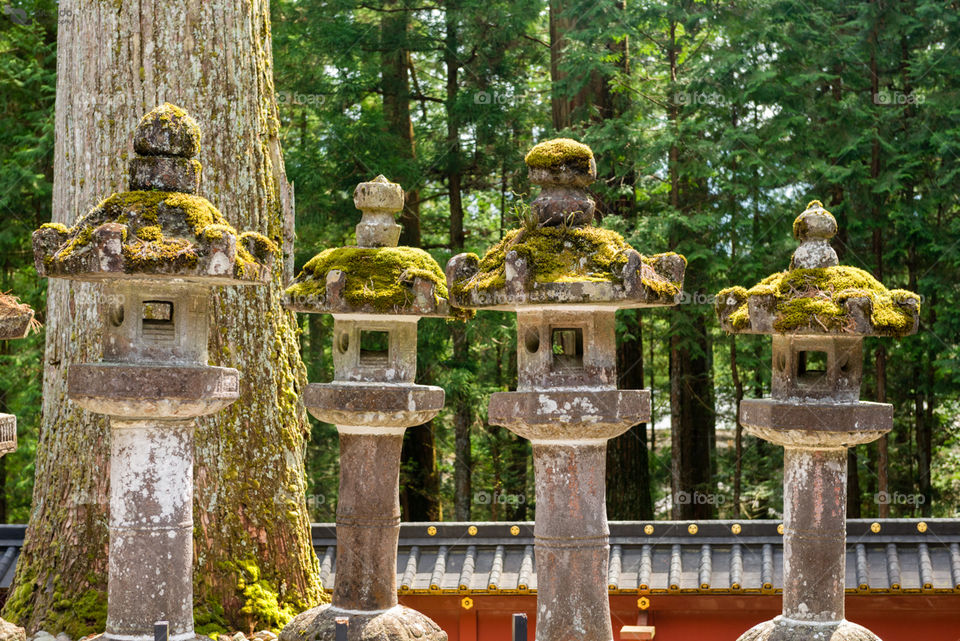 "4 in a row"

http://www.picardo.photography/Portfolio/Street-photography/i-K7WVJPm/A