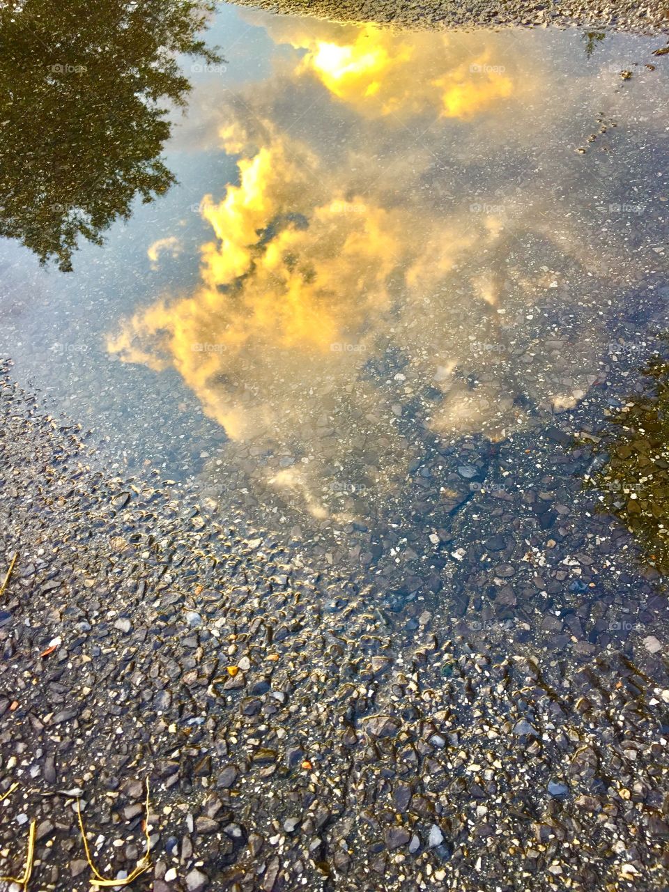 Incredible Autumn and Rainy day Reflections depict how beautiful and colorful the landscape really is in the fall. 