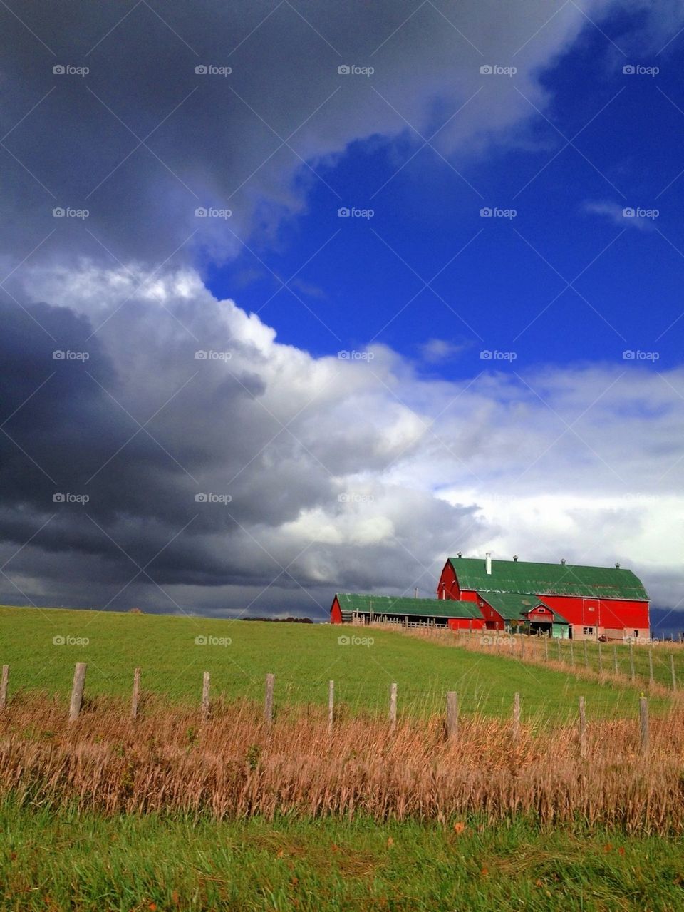 Red Barn