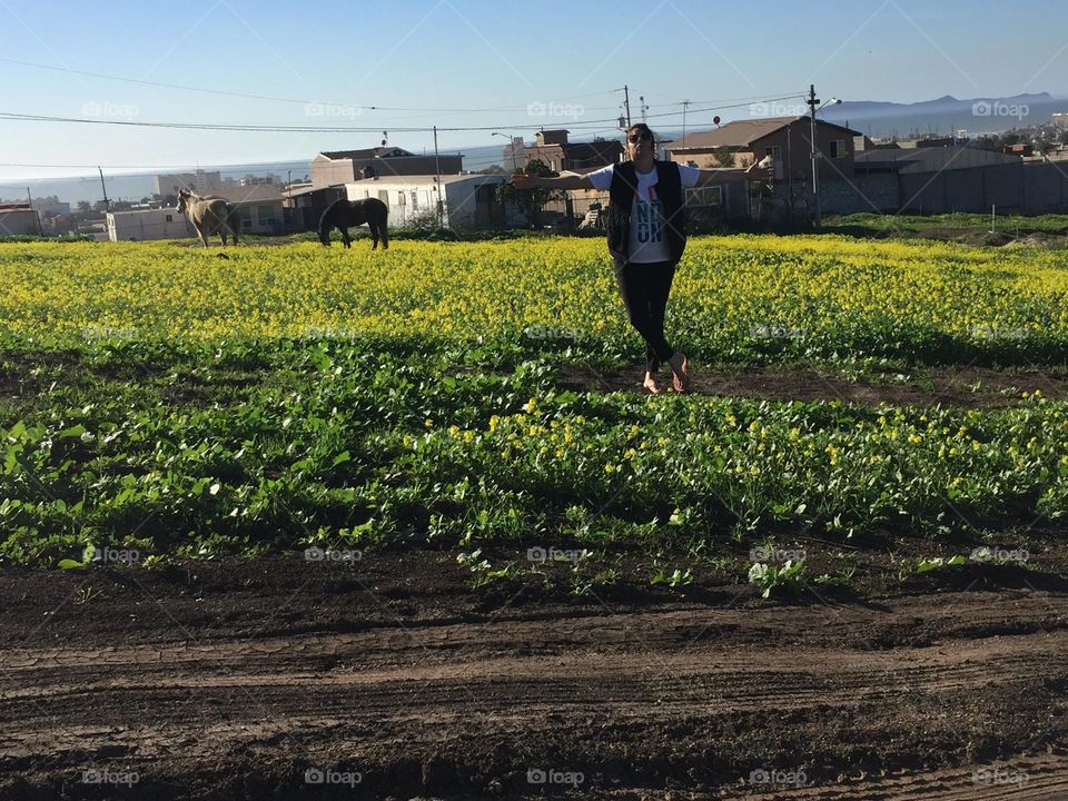 one day will be the day