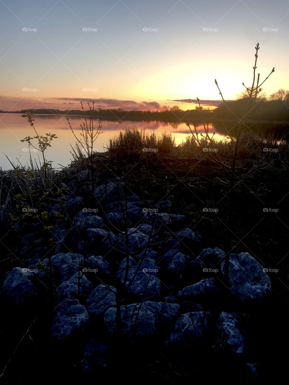 Gorgeous sunset with sun dipping behind grove of trees makes for a beautiful photo. 