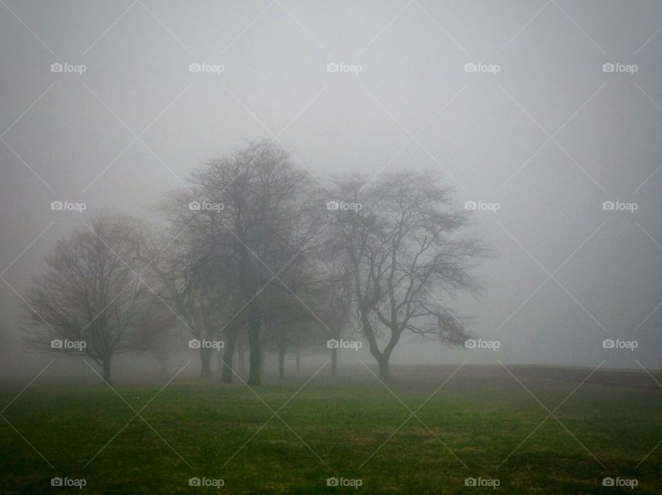 Morning Fog. An early walk along the parkway.