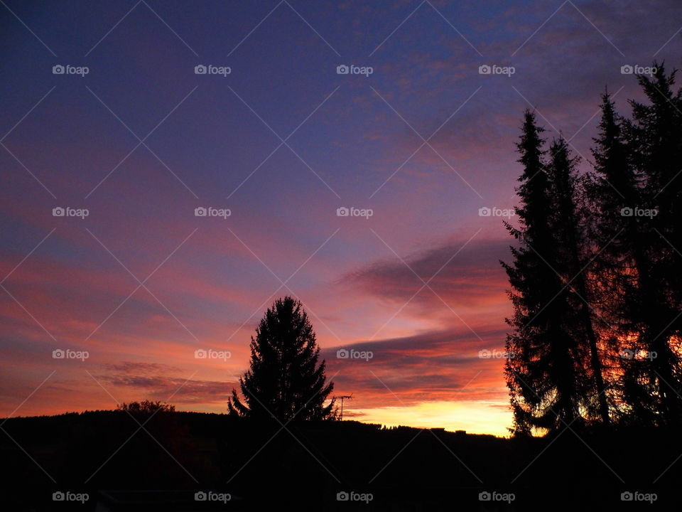 amazing sunset in the evening