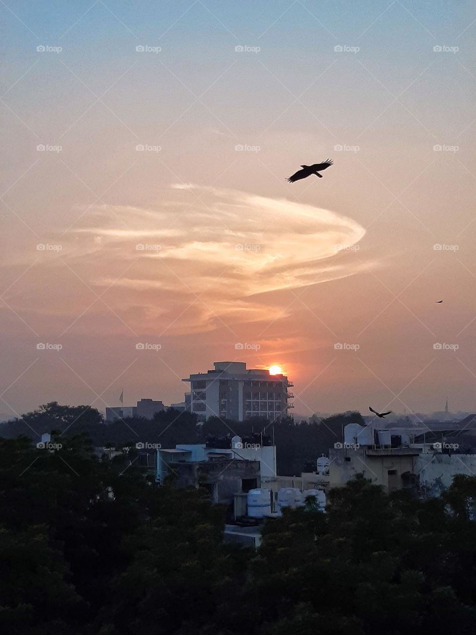 Golden hour aesthetic ✨