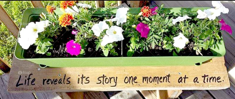 Life reveals its story one moment at a time