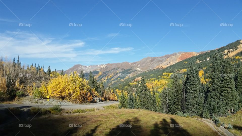 Fall, Wood, Nature, Mountain, Landscape