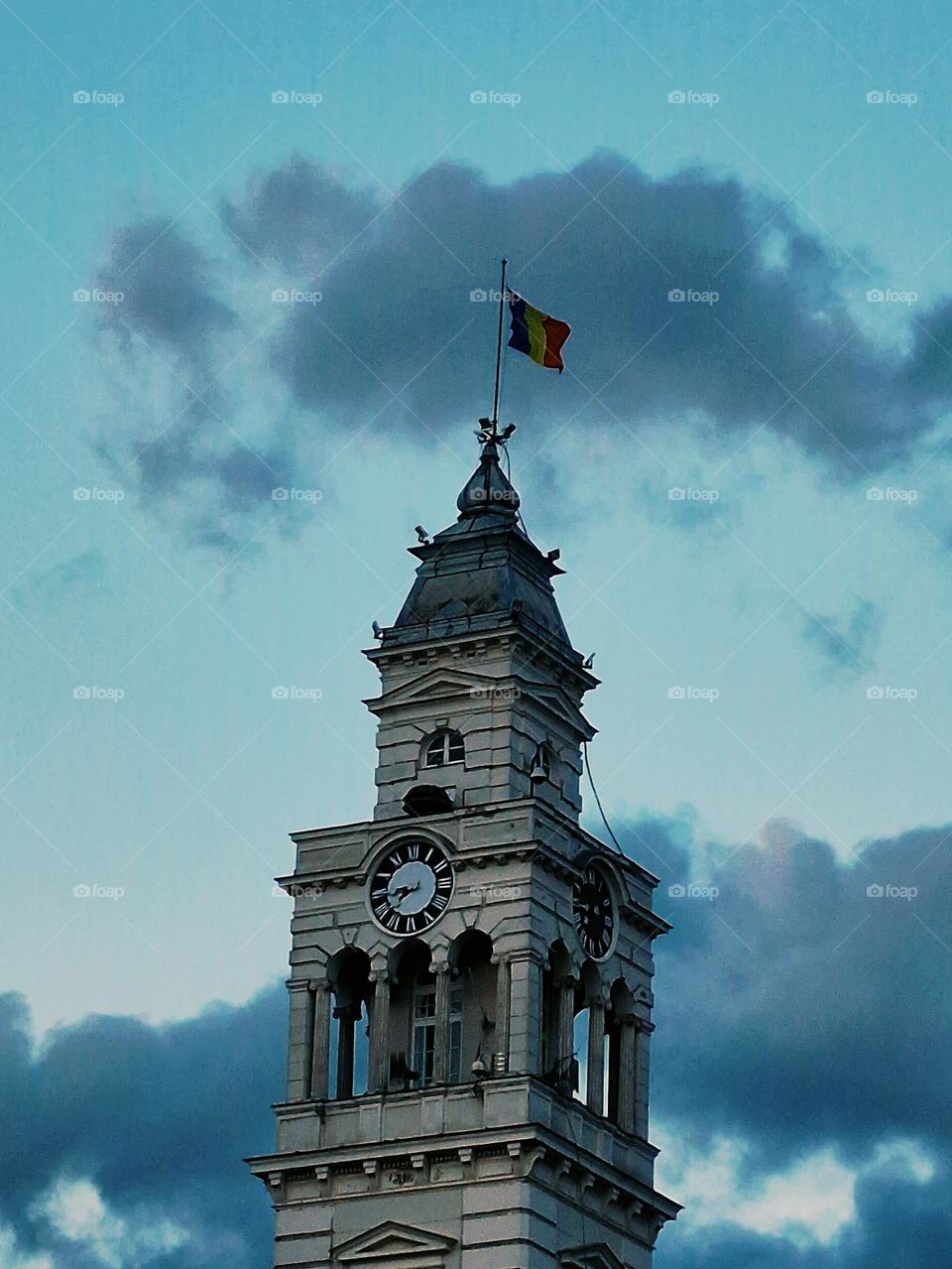 the town hall in Arad