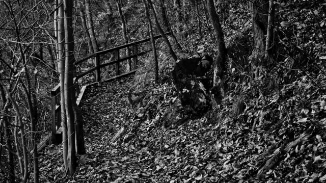Off the beaten path
