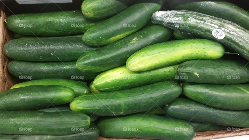 A bin of green Cucumbers at a local grocery store in Central Florida. Vegetables are an important part of one's diet.