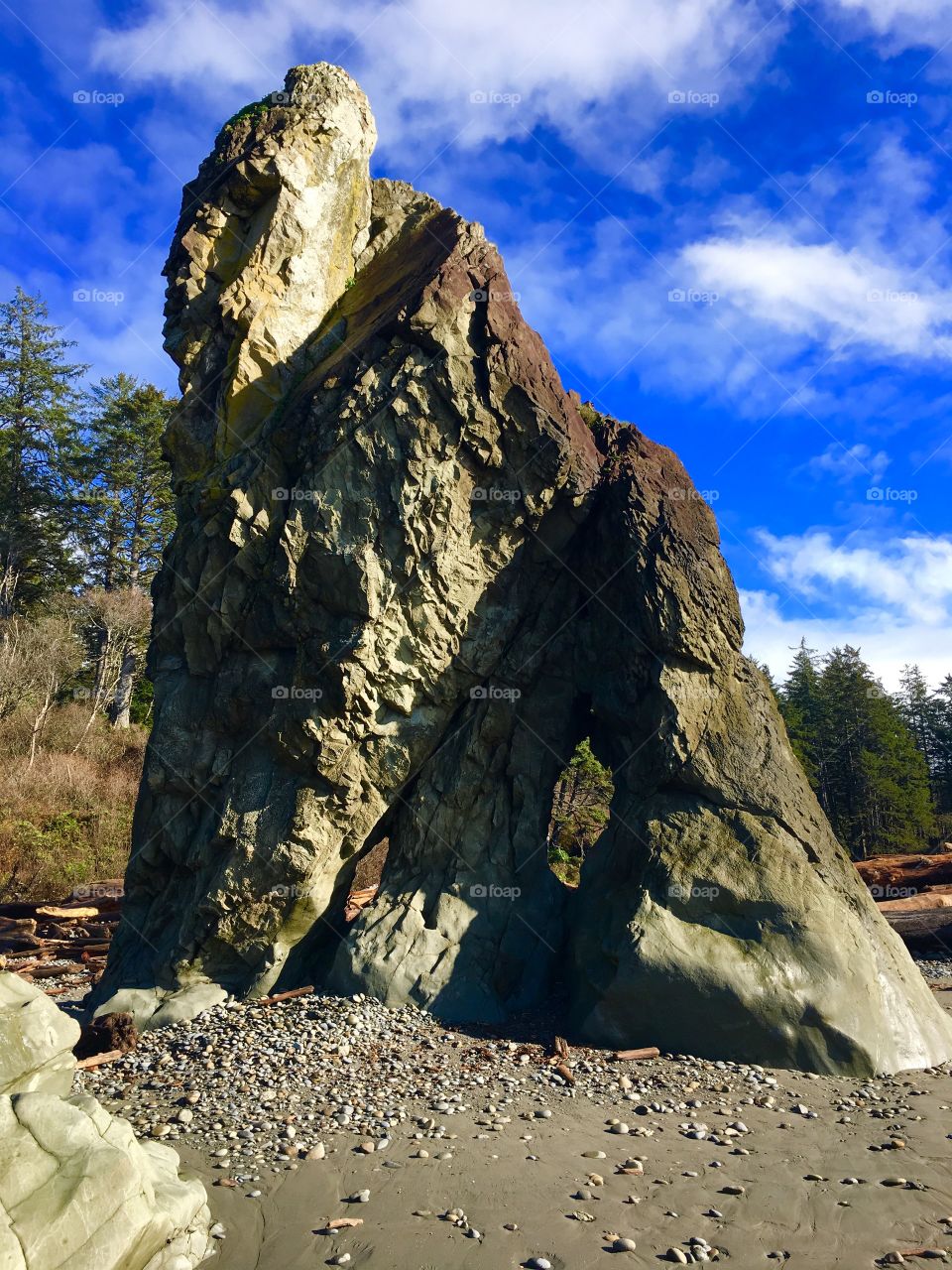 
Gorilla Rock, Ruby Beach, Pacific Ocean, Olympic Peninsula, Washington State 