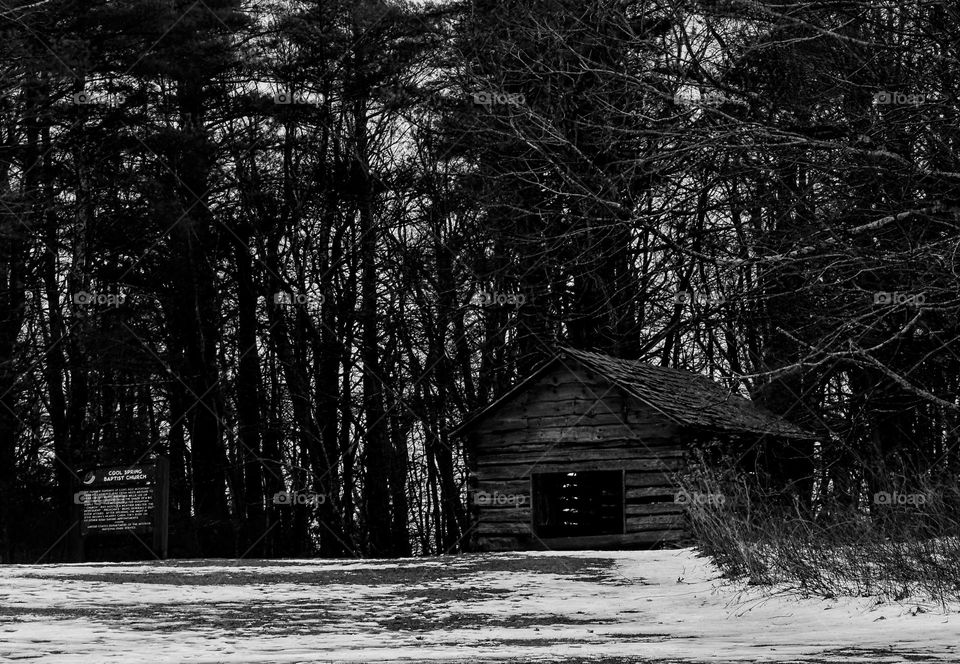 Cabin in monochrome