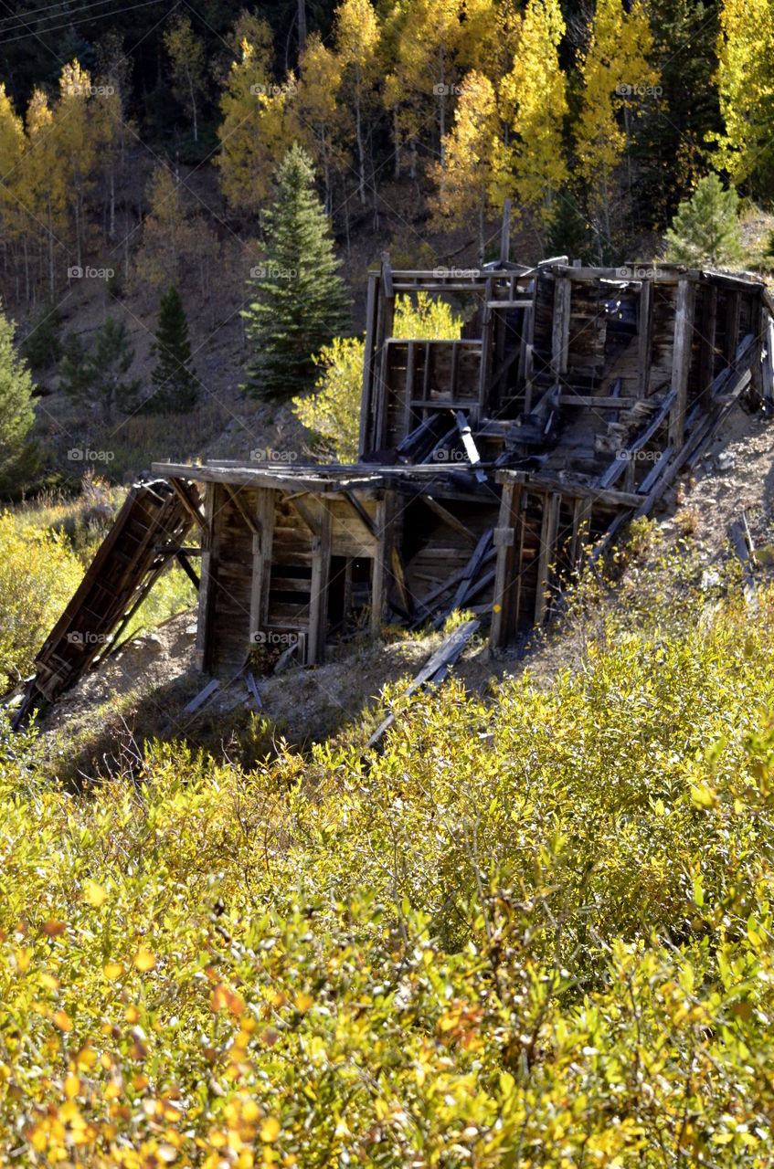 Prospecting For Gold