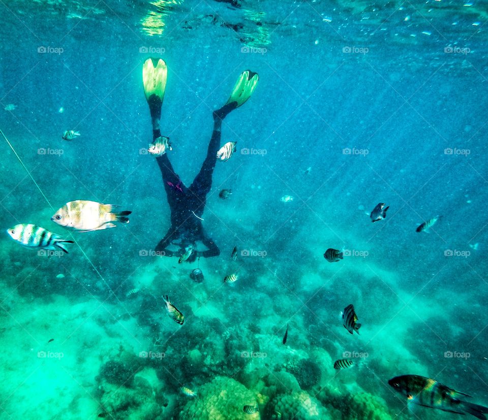 Sattahip,Chon Buri/Thailand-November 24 2019:Guide man of diving trip at Samae San island is diving to take photo under the sea