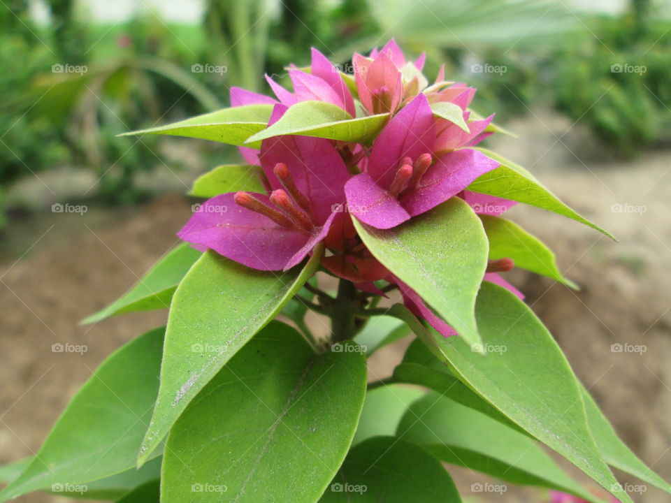 Little Dirty but beautiful!!!!!!!!!!!