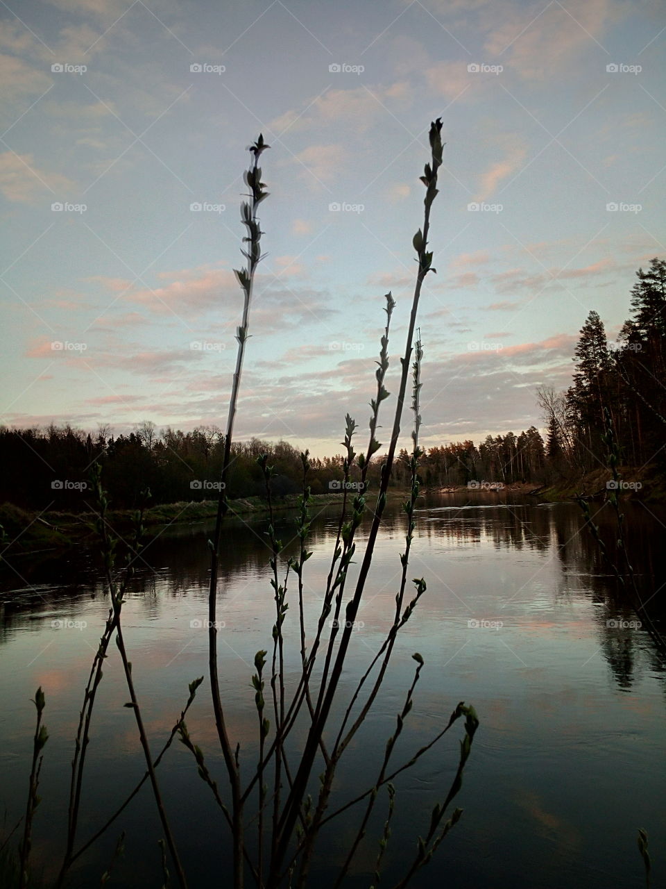 "Empty yourself of everything. Let the mind rest at peace." — Lao Tzu, Tao Te Ching